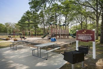 Tree-lined outdoor BBQ and picnic area